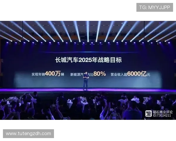 微企业家如何在竞争激烈的市场中脱颖而出实现持续增长和创新发展